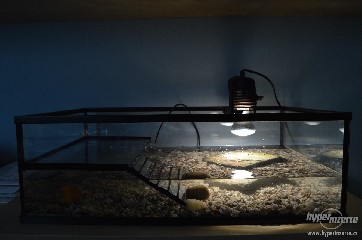 terárium pro vodní želvy 3